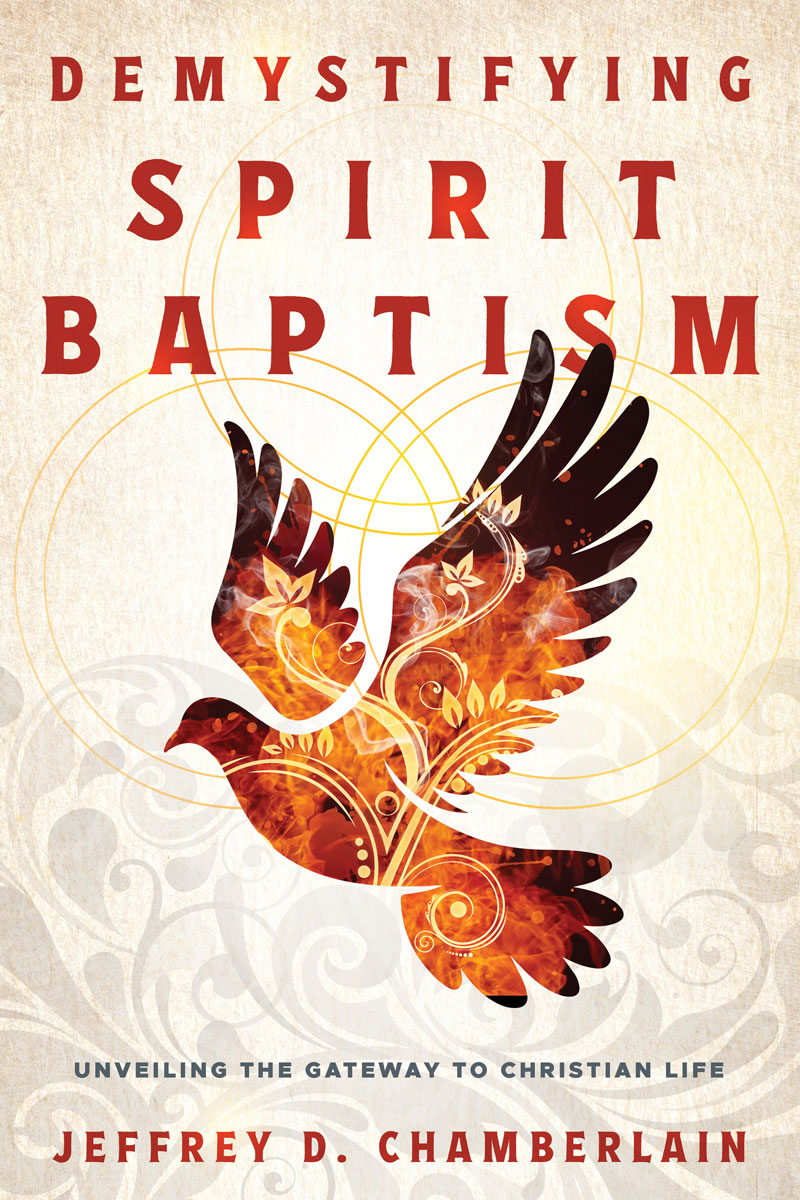 dsb-book-cover